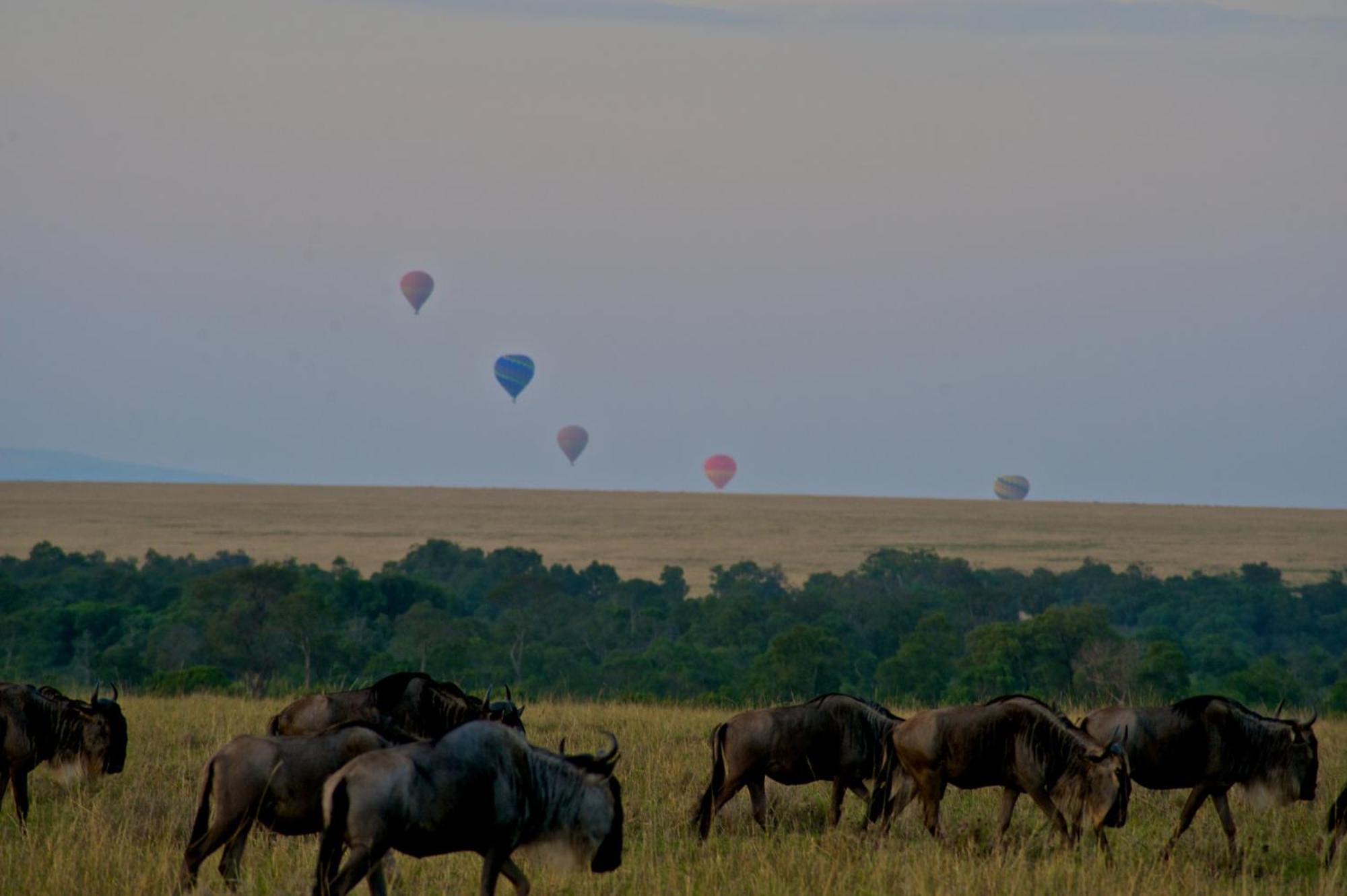 Mara Elatia Camp Villa Maasai Mara Exterior photo